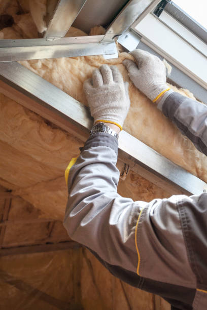 Best Cellulose Insulation in Woodland, CA