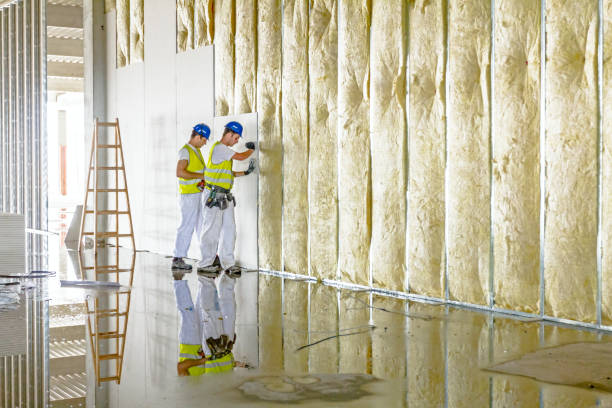 Types of Insulation We Offer in Woodland, CA